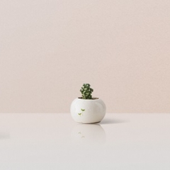 Test de la Xiaomi Yeelight RGBW – la lampe connectée à votre smartphone