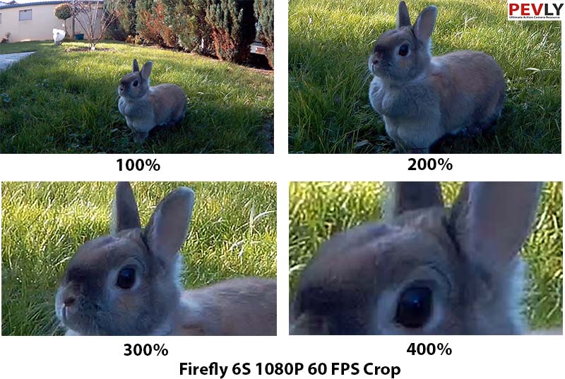 FIREFLY-6S-Video-frame-crop