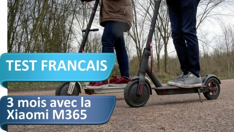 Privé : [ID: bG-RmutP6kU] Youtube Automatic