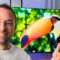 LG B5 – Test de ma première TV OLED